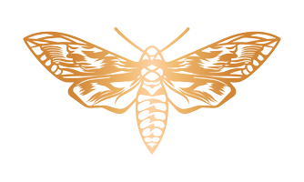 goldenmothpl