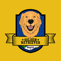 goldenretrieverbrasil