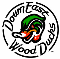 gowoodducks