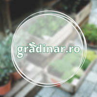 gradinarpunctro