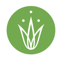grassrootsyogavta