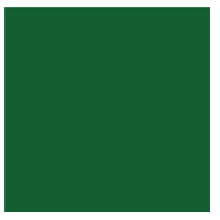 grueneberlin
