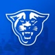 gsupanthers