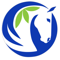 hakubaldwincenter