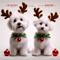 hammyandbrody