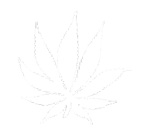 hashmuseum