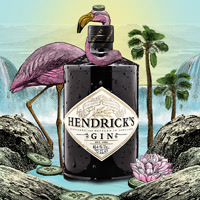 hendricksgin