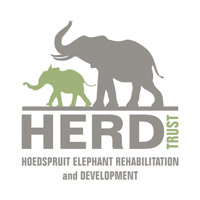 herdelephants