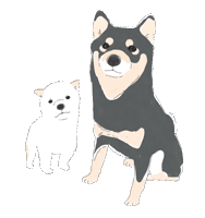 himakoyo