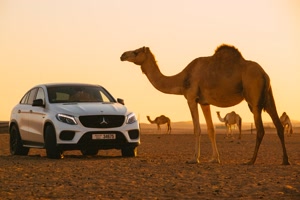 hmrentacarindubai
