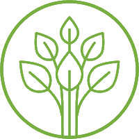 holivegankitchen