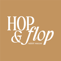 hopandfloprabbitrescue
