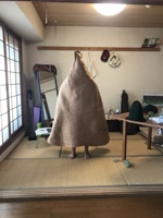 horiyuriko