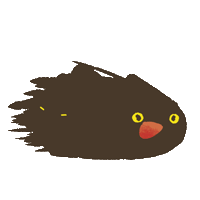 mimimaomao_cat