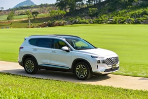 hyundaisantafe22