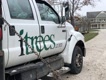 iTreesChicago