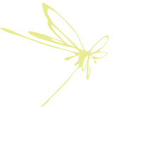 icandyinc
