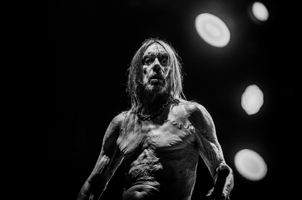 iggypop