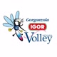 igorvolley