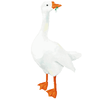 iizulle