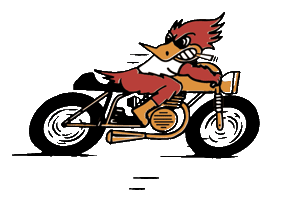 ilbdriversclub