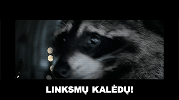 iprospectmemes