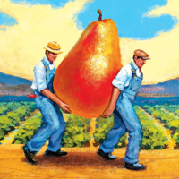 TheFruitGuys