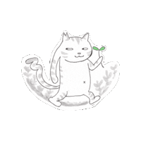 kealamaomao