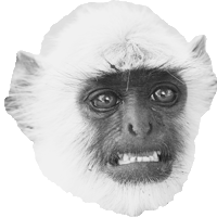kimaeyong