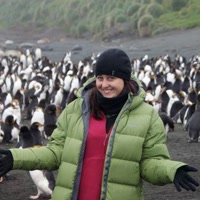 kimbirdley