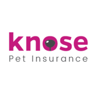 knosepetinsurance