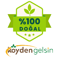 koydengelsin