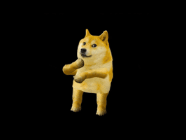 kzn_dayo