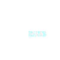 laborioustraining