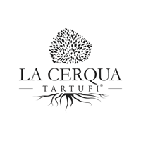 lacerqua
