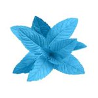 lamenthebleue