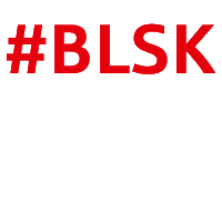 landessparkasse