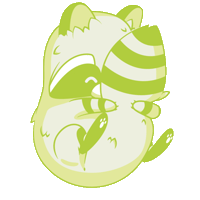 le_raccoon_anim
