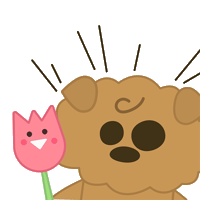leechanyang