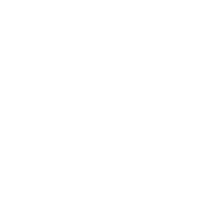 lensart