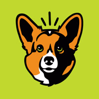 likeminddesign