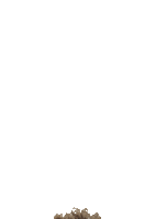 lilmatick