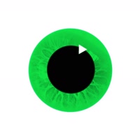 limeartgroup