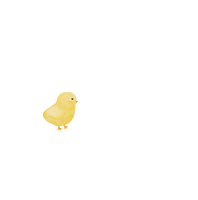 lisachiuqq