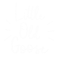 littleoldgoose