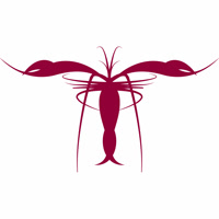 lobsterexperience