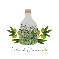 loliodivincenzo