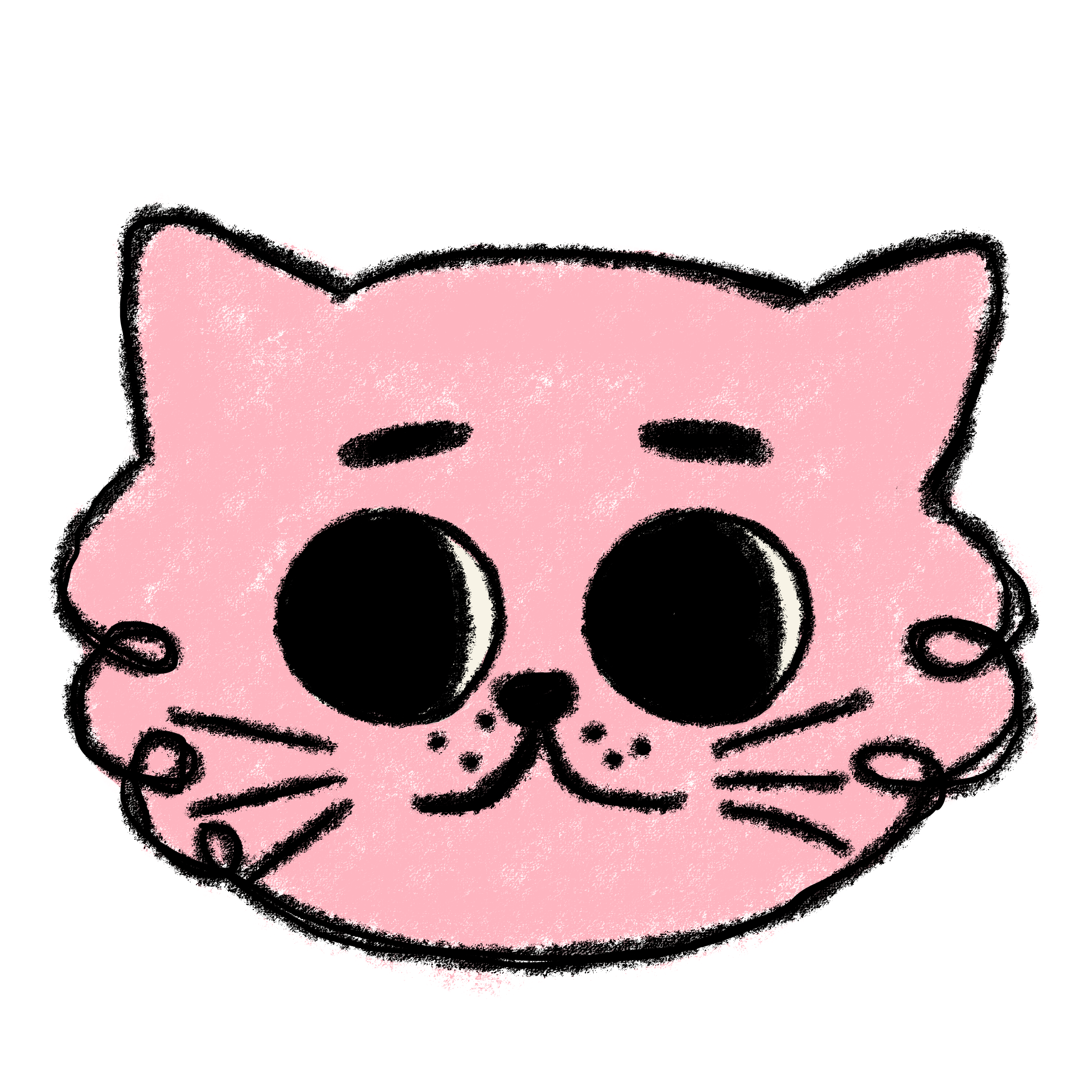 Realization Cat Gif
