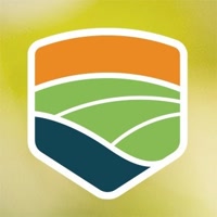 marketingseedcorpho