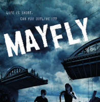 mayfly